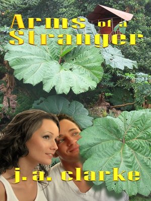 cover image of Arms of a Stranger